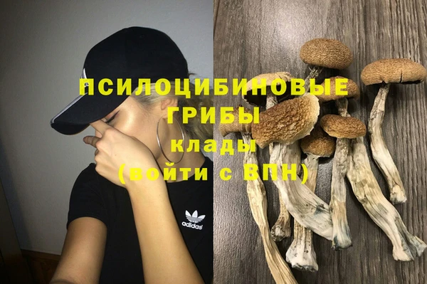 кокс Белокуриха